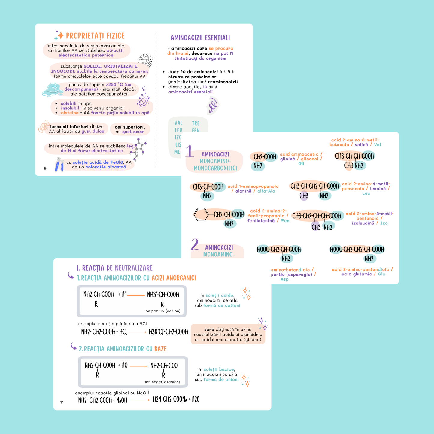 FLASHCARDS CHIMIE ORGANICĂ: AMINOACIZI