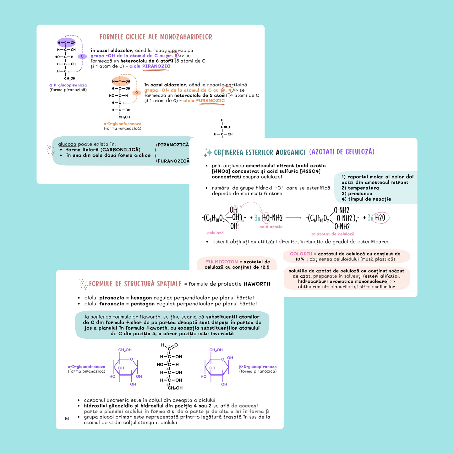 FLASHCARDS CHIMIE ORGANICĂ: ZAHARIDE