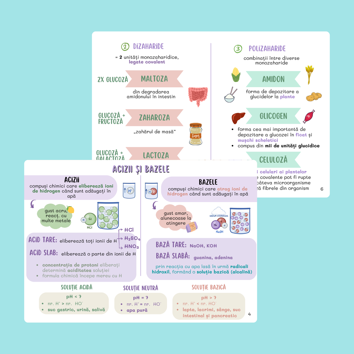 BARRONS CAPITOLUL 2 - BAZELE CHIMICE