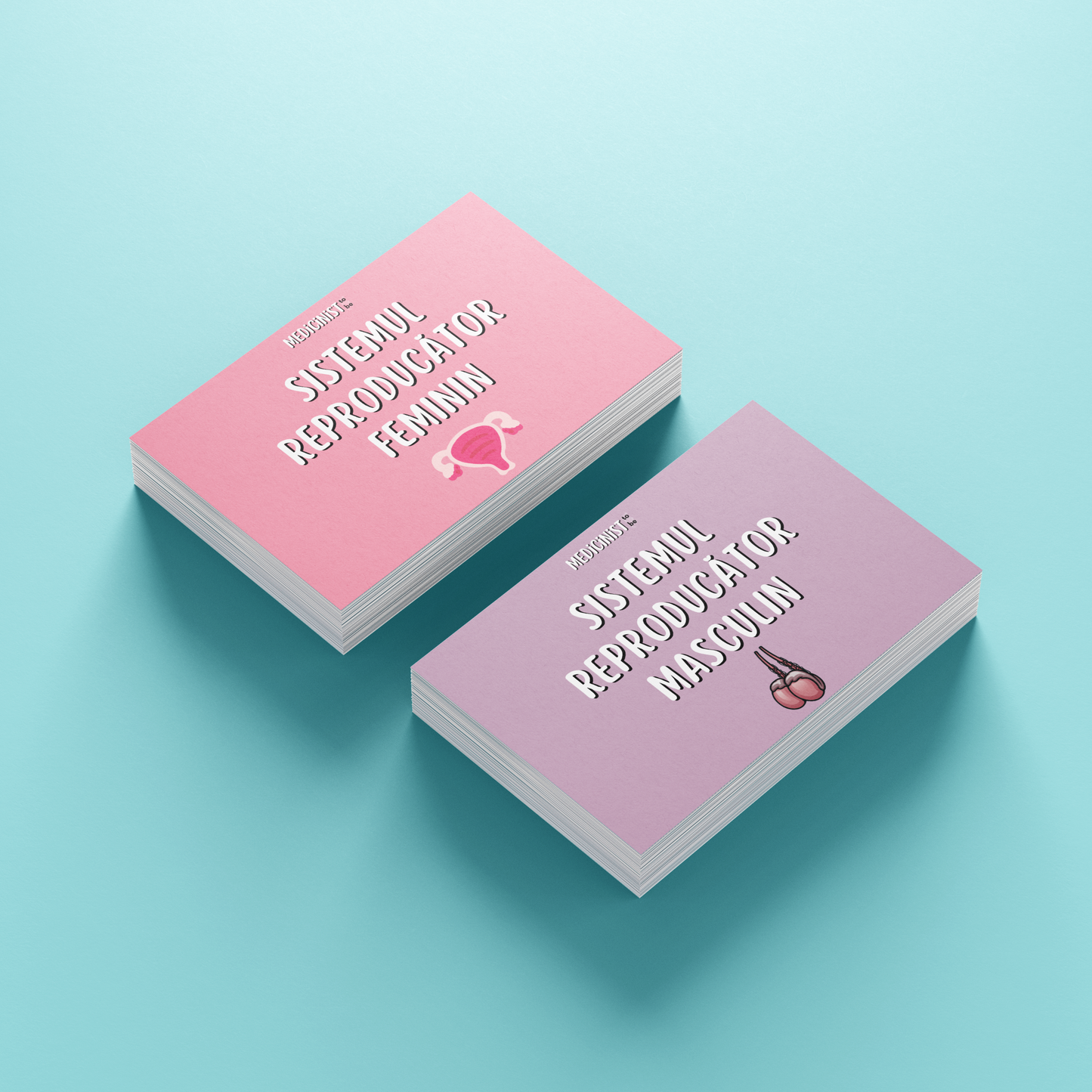 FLASHCARDS CORINT: SISTEMUL REPRODUCĂTOR FEMININ & MASCULIN