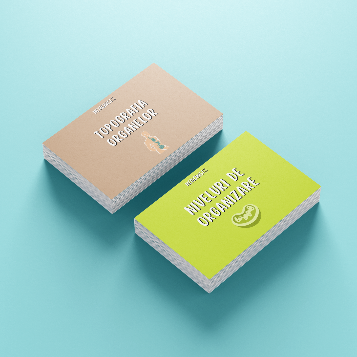 FLASHCARDS CORINT: TOPOGRAFIA ORGANELOR & CELULA