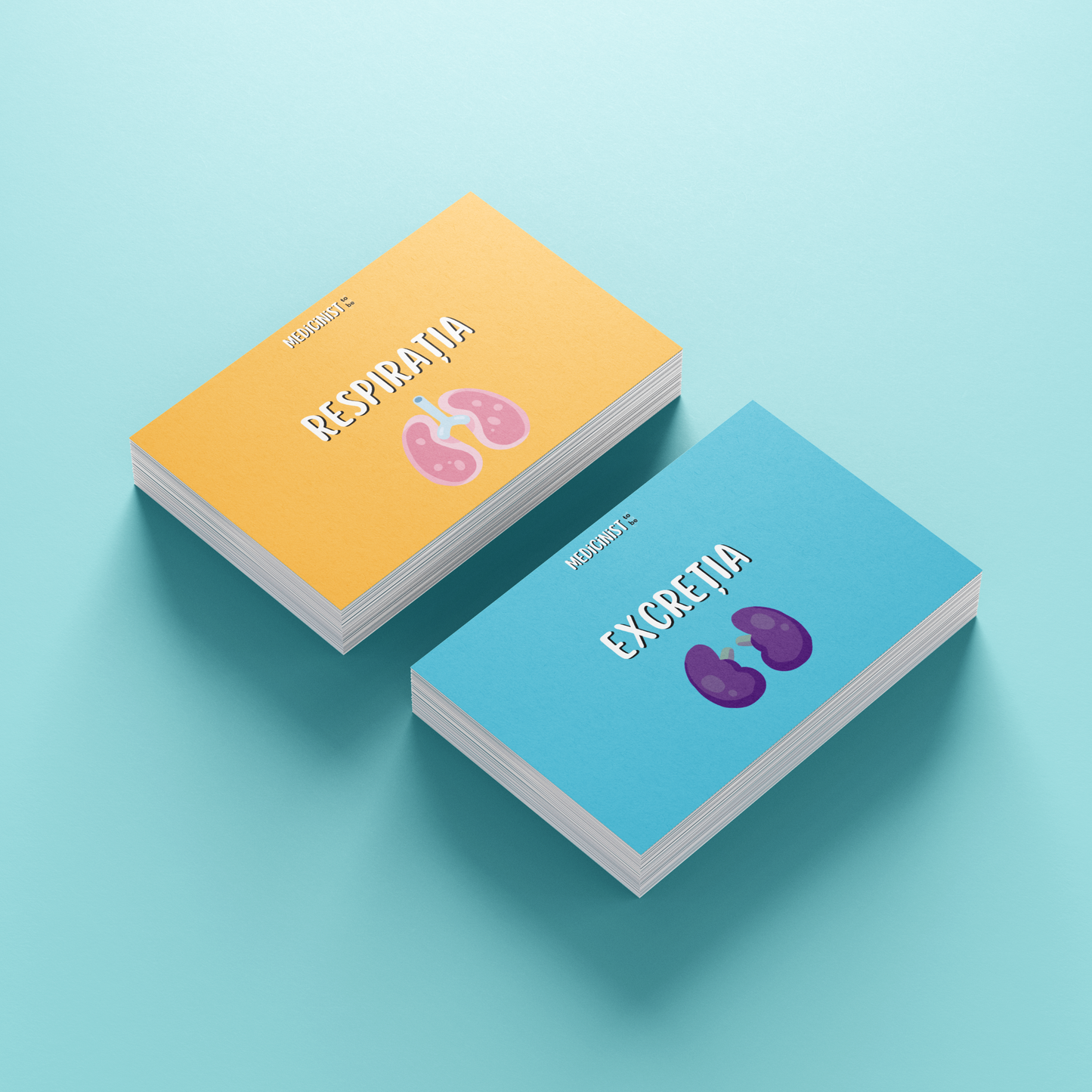 FLASHCARDS CORINT: RESPIRAȚIA & EXCREȚIA