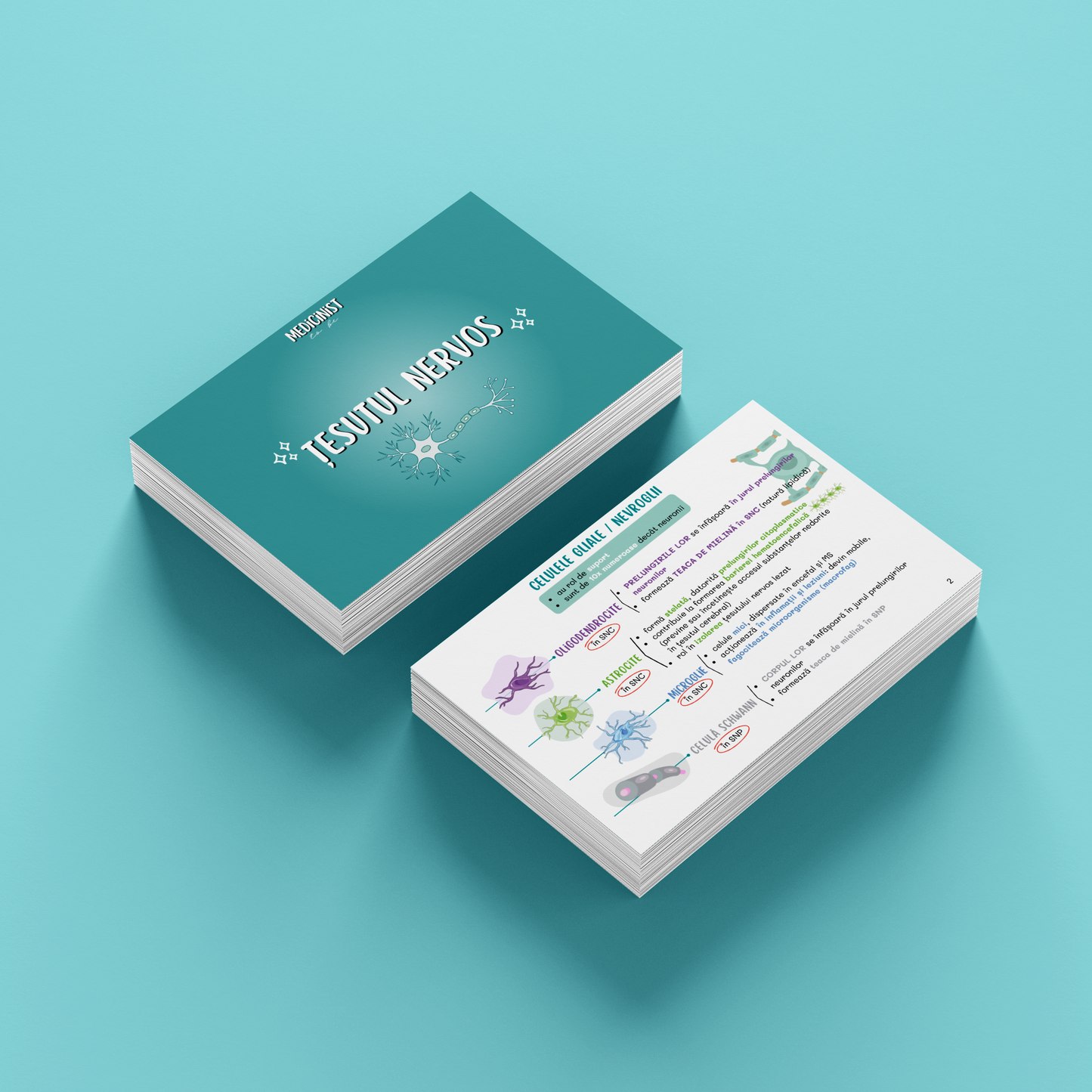 BARRONS CAPITOLUL 10 - ȚESUTUL NERVOS