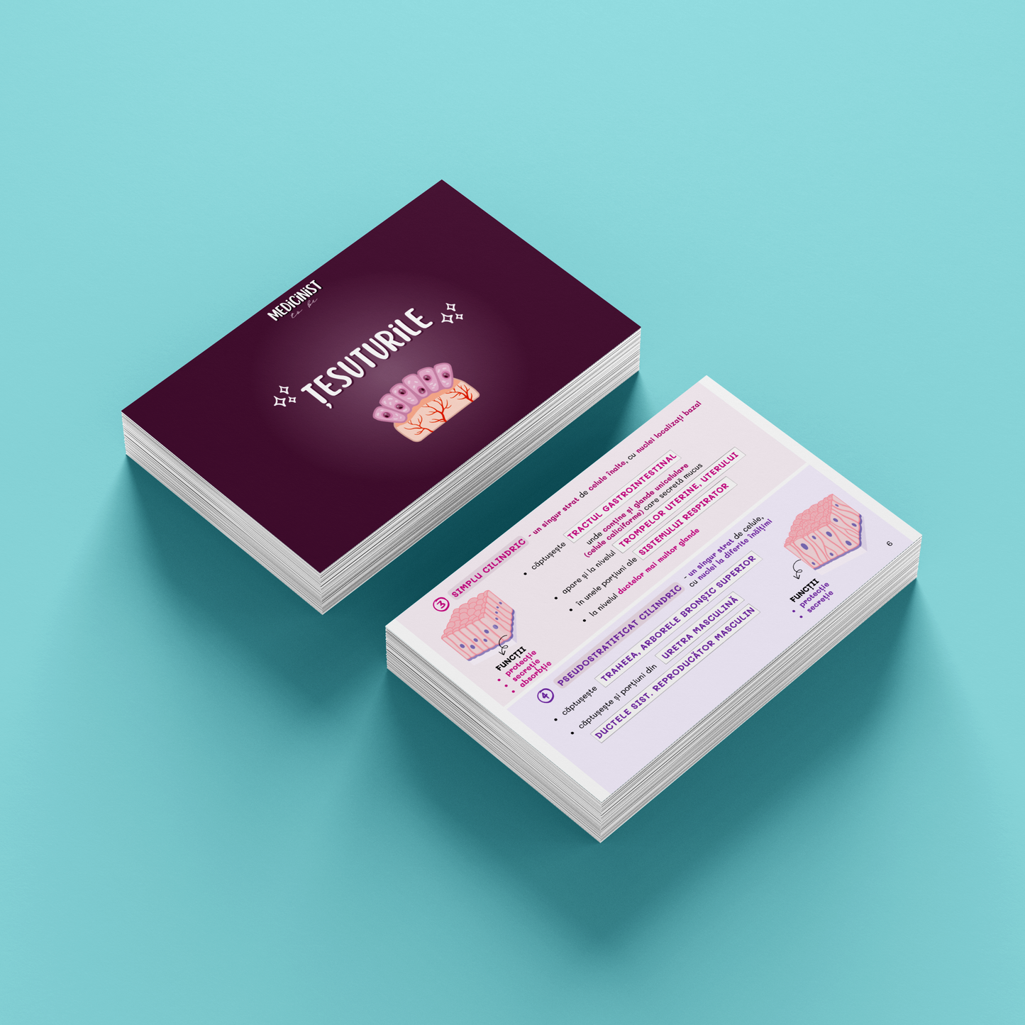 BARRONS CAPITOLUL 4 - ȚESUTURI