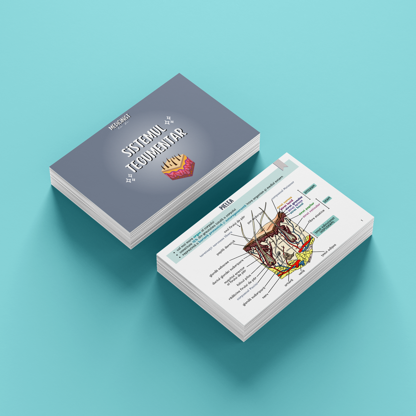 BARRONS CAPITOLUL 5 - SISTEMUL TEGUMENTAR