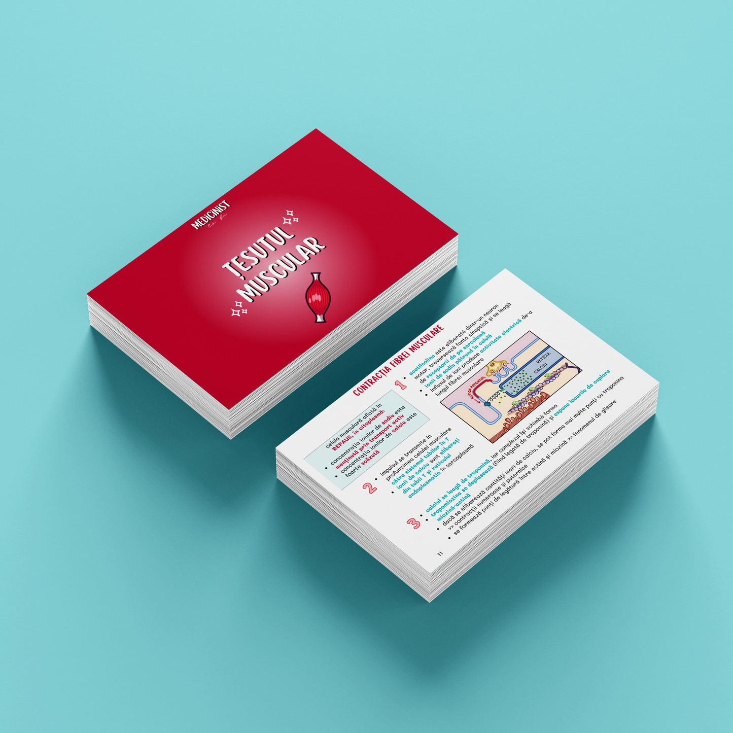 BARRONS CAPITOLUL 8 - ȚESUTUL MUSCULAR