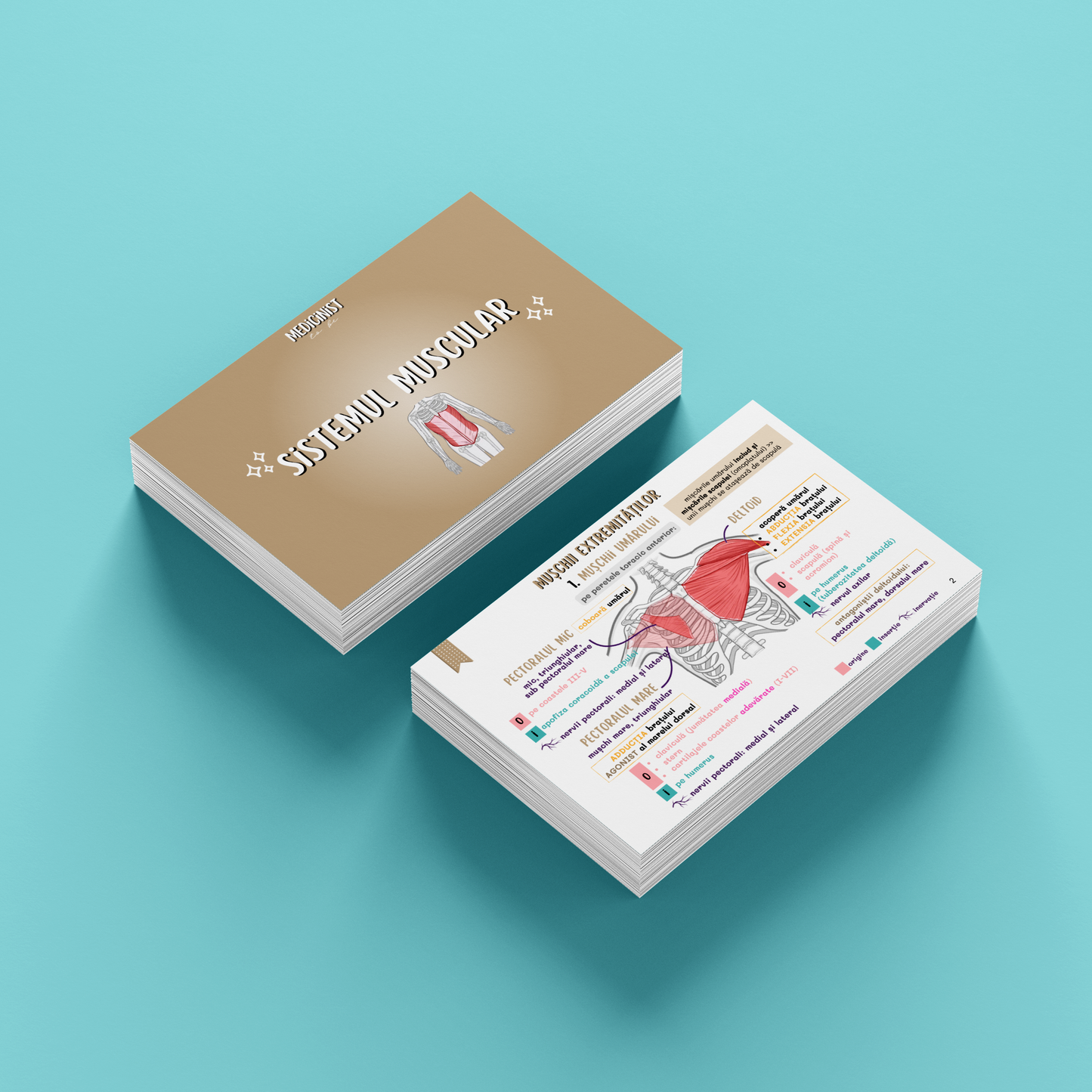 BARRONS CAPITOLUL 9 - SISTEMUL MUSCULAR